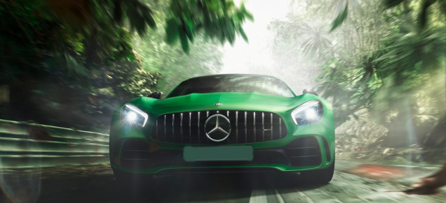 Die Mercedes-AMG GT-Familie wächst weiter: Kommt 2020: Mercedes-AMG GT Black Series