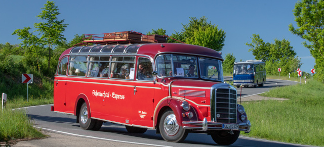 8. Internationales Oldtimer-Bustreffen: Schönster Bus ist ein Mercedes: Klassischer MB O 3500D von Wolfgang Fuchs ausgezeichnet.