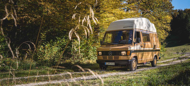 Van-Life: Mercedes-Benz Marco Polo feiert 40-jähriges Jubiläum