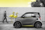 Sondermodell:  smart | BRABUS edition asphaltgold : Kooperation von smart und asphaltgold Sneakerstore